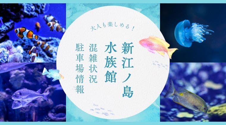 新江ノ島水族館 混雑状況 おすすめ駐車場