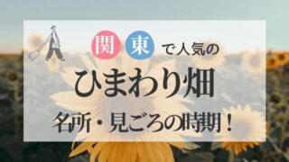 東京・関東 ひまわり畑 見ごろ時期