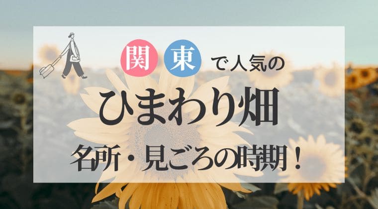 東京・関東 ひまわり畑 見ごろ時期