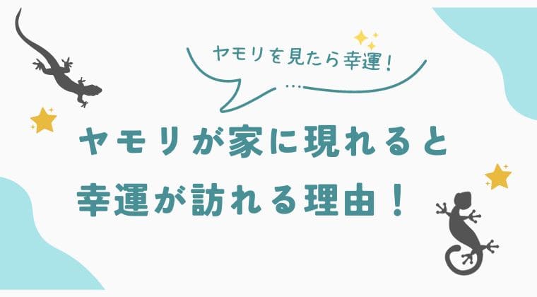 ヤモリ 幸運 理由