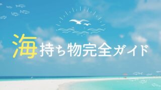 海 持ち物 便利グッズ