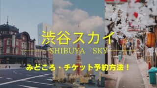 渋谷スカイ みどころ チケット予約方法